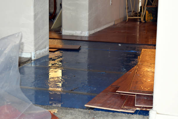 Professional Sewage Cleanup technician working in Charleston, MS